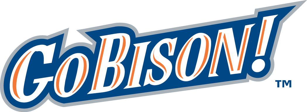 Bucknell Bison 2002-Pres Wordmark Logo v3 iron on transfers for clothing